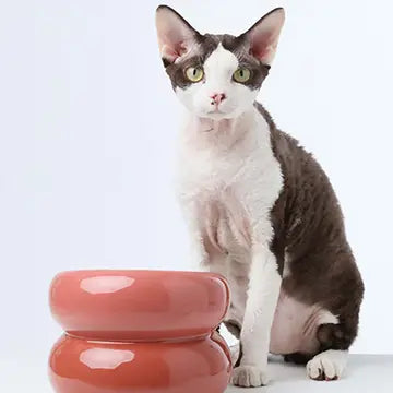 Soufflé Pet Bowl