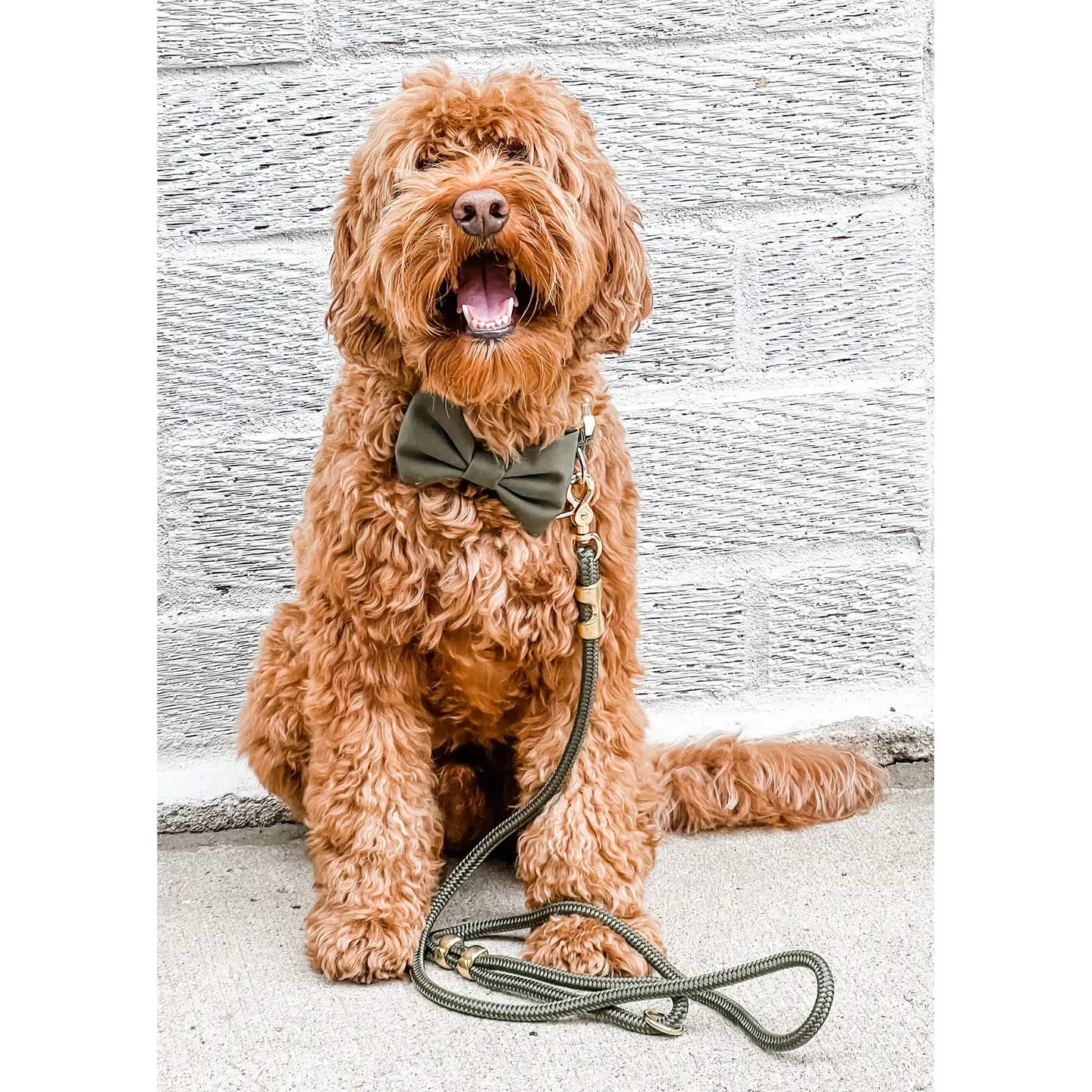 THE FOGGY DOG - Olive Marine Rope Dog Leash