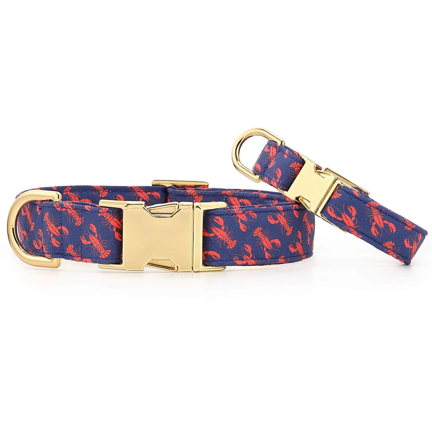 THE FOGGY DOG - Catch of the Day Dog Collar