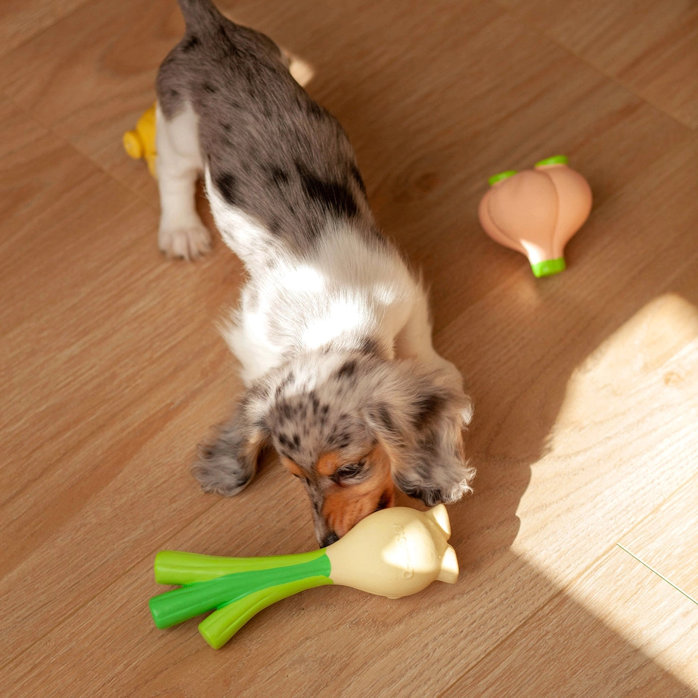 Trio of Squeaker Toys - Onion + Ginger + Garlic