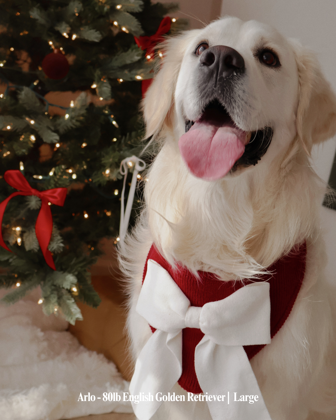 CHRISTMAS DOG BANDANA | CHRISTMAS IN THE CITY