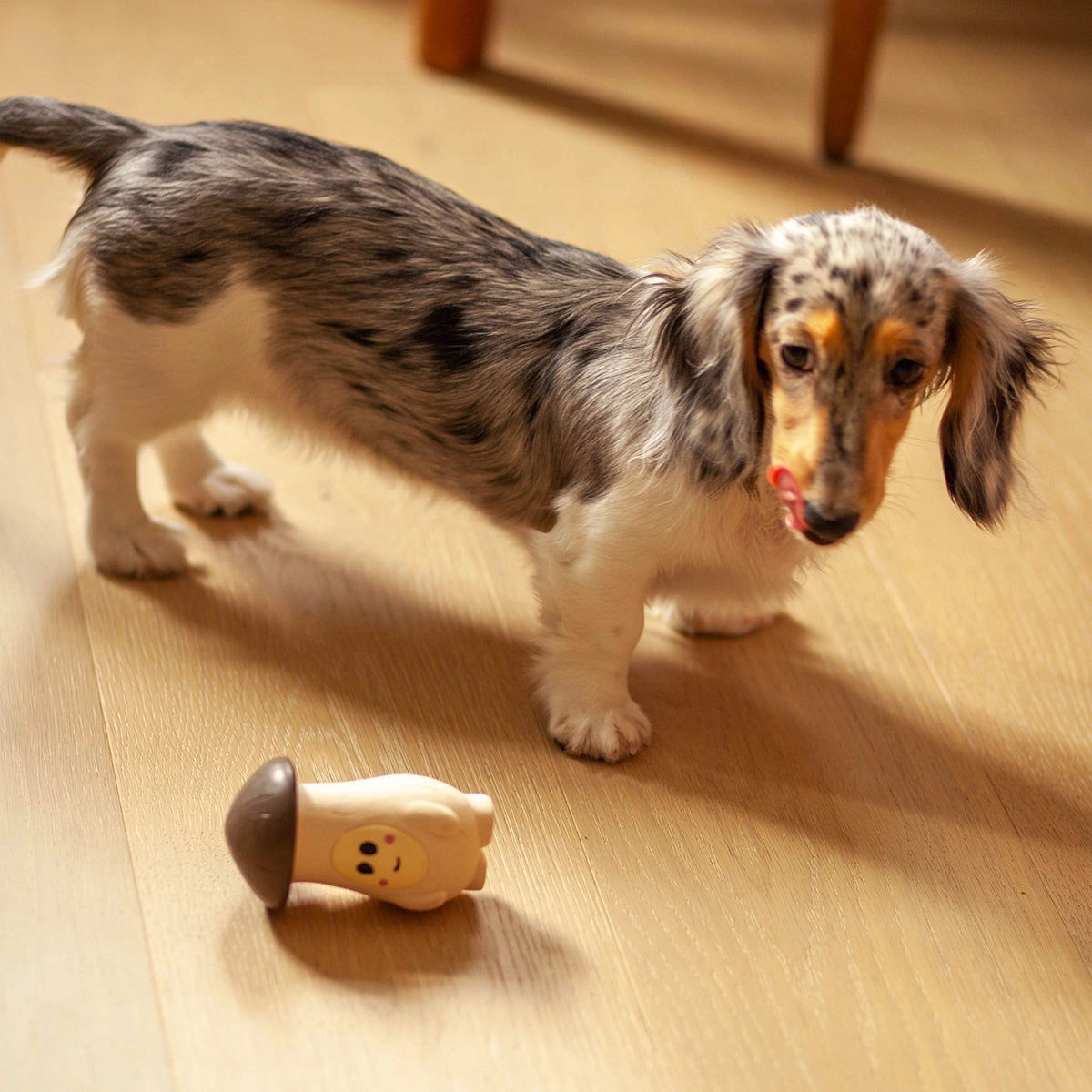 Trio Of Squeaker Toys - Veggie Squeaker Squad