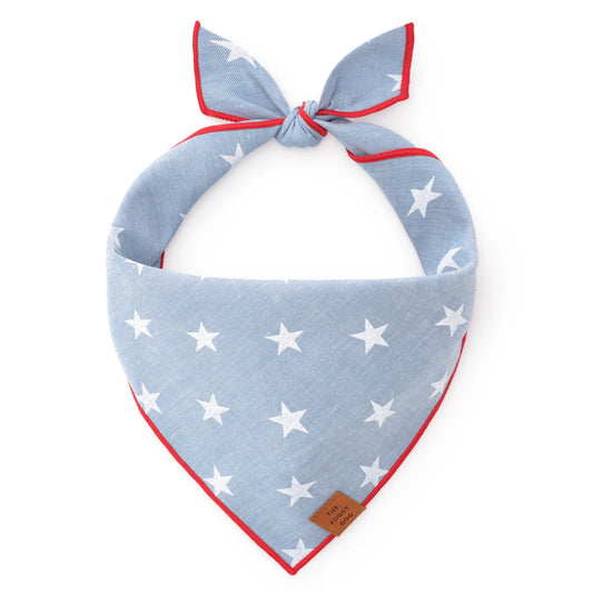 THE FOGGY DOG - Liberty 4th of July Bandana