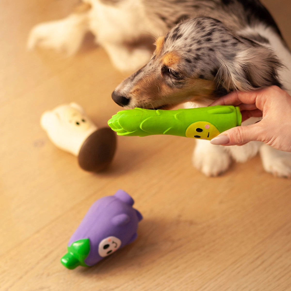 Trio Of Squeaker Toys - Veggie Squeaker Squad