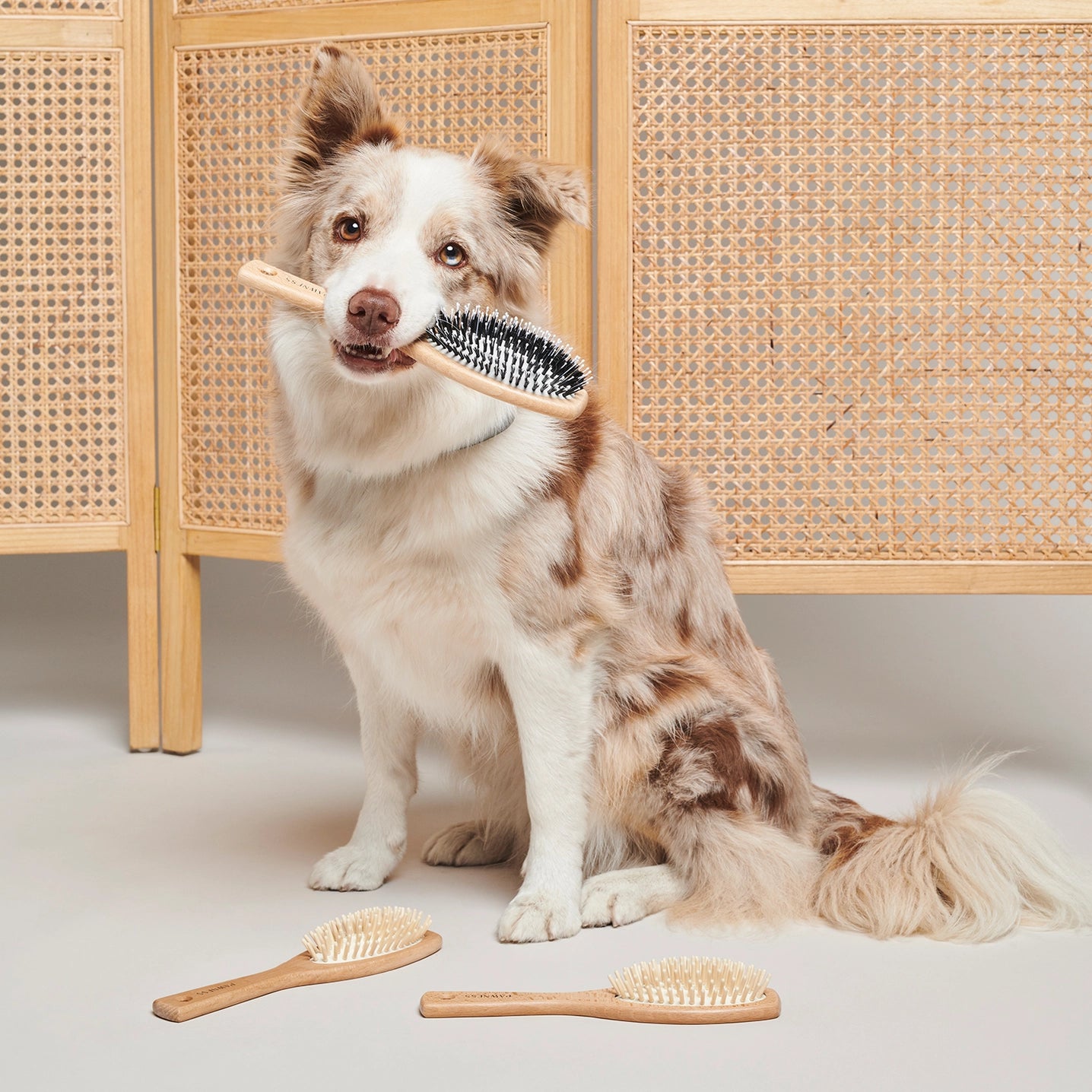 Vegan Wooden/Nylon Brush