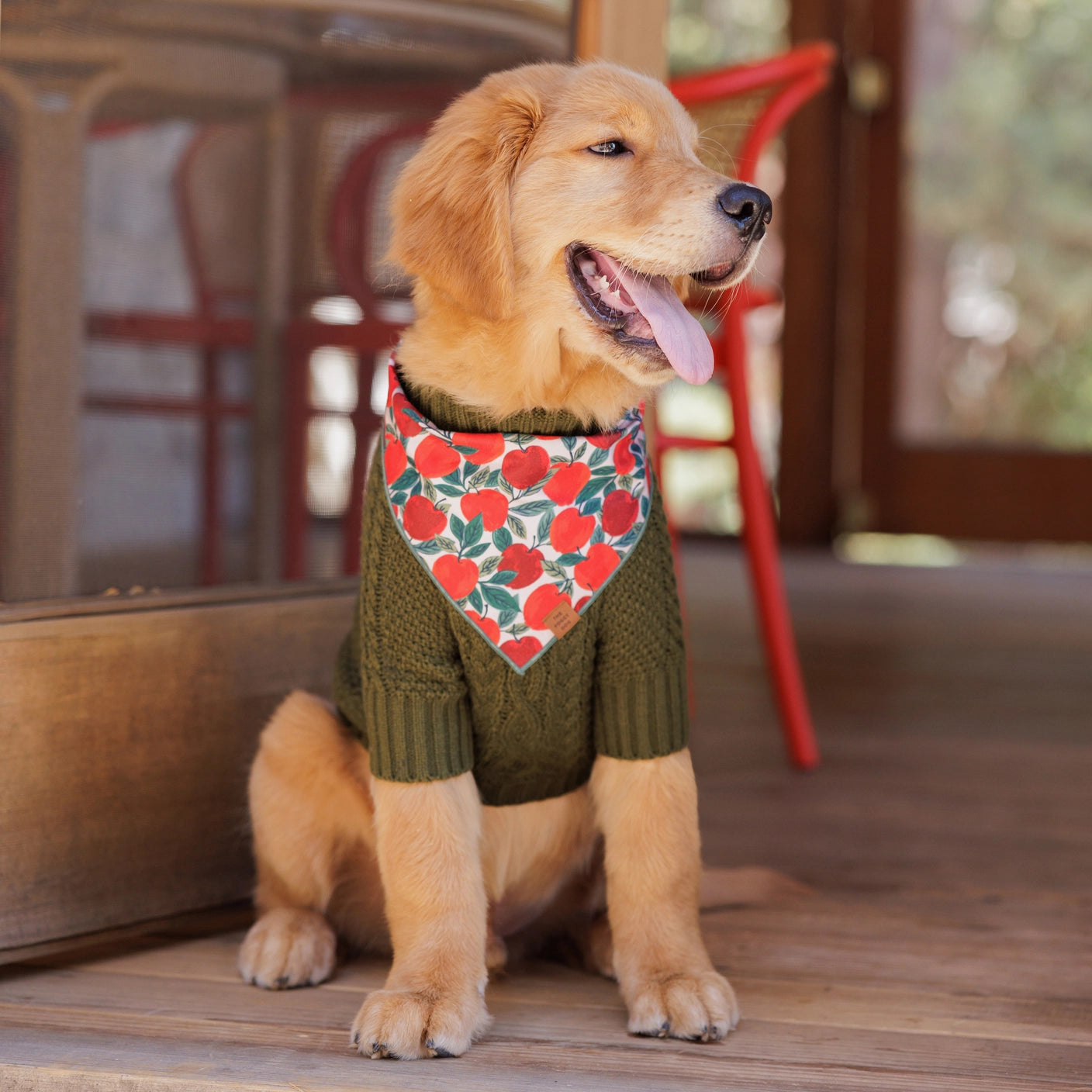 THE FOGGY DOG - Olive Cable Knit Dog Sweater