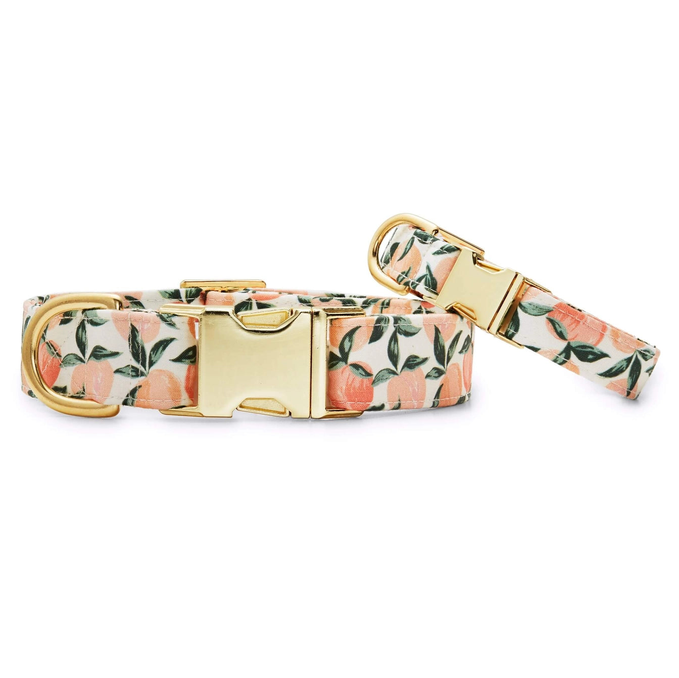 THE FOGGY DOG - Peaches and Cream Dog Collar