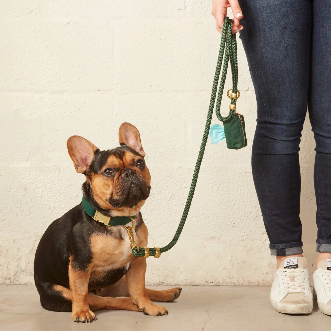 THE FOGGY DOG - Evergreen Marine Rope Dog Leash