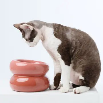 Soufflé Pet Bowl