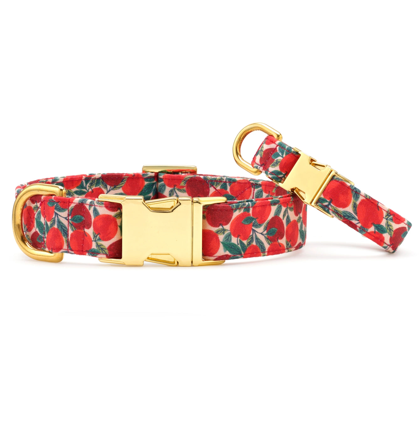 THE FOGGY DOG - Apple of My Eye Fall Dog Collar