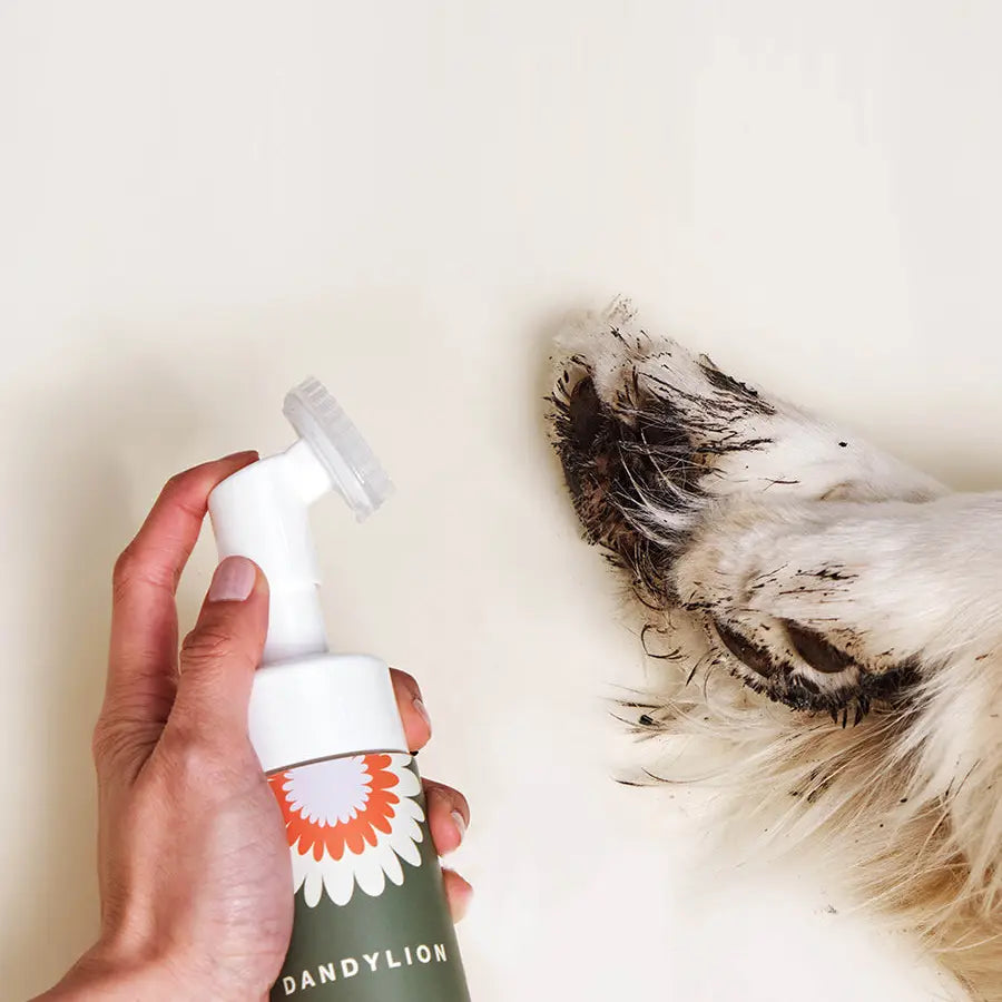 Clean Paws - No-Rinse Foaming Cleanser