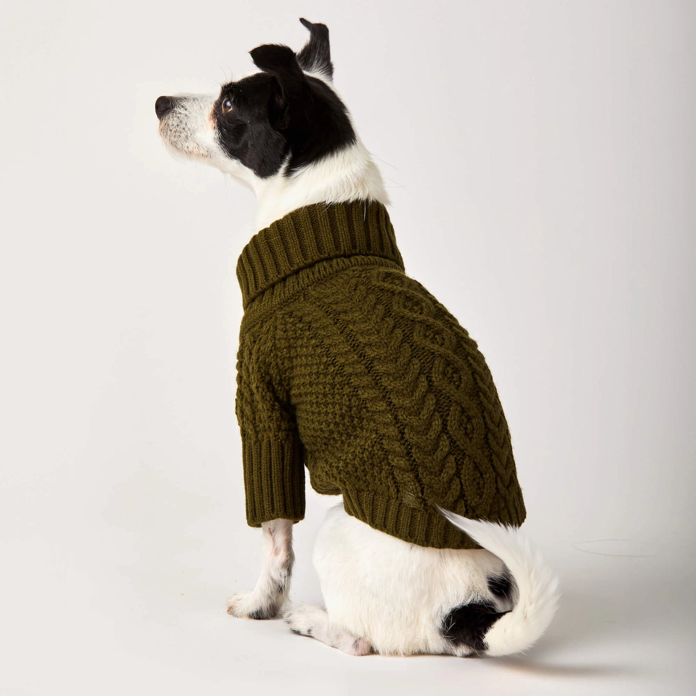 THE FOGGY DOG - Olive Cable Knit Dog Sweater