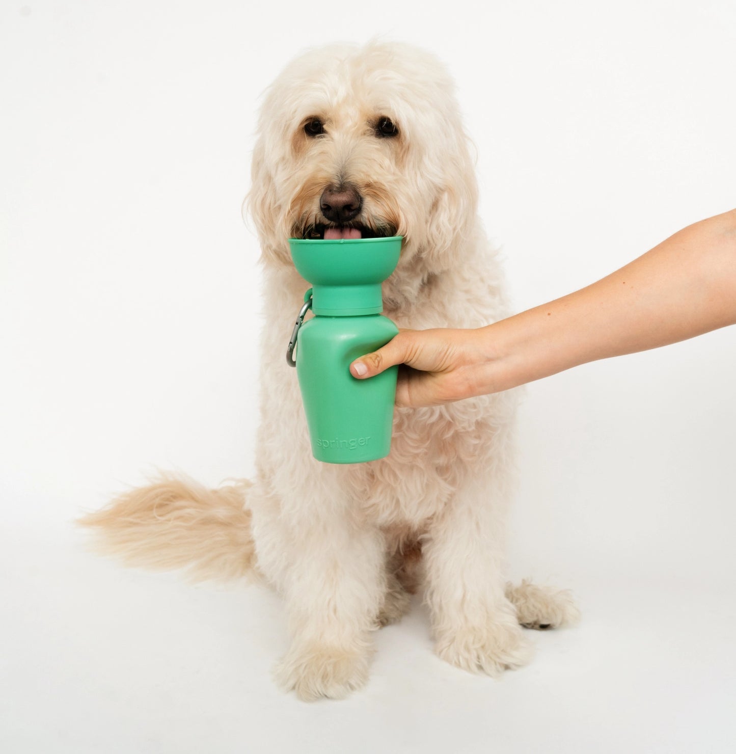 Springer Dog Travel Water Bottle - Flip 20 oz