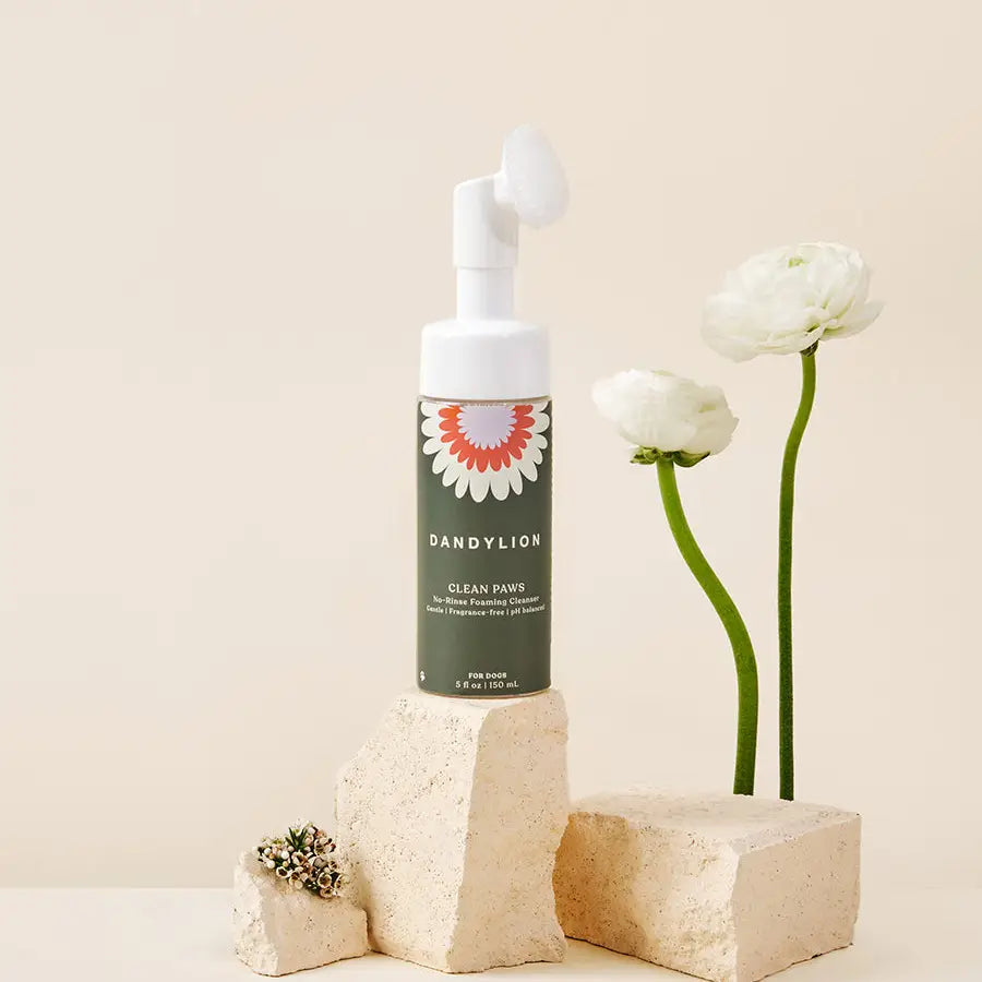 Clean Paws - No-Rinse Foaming Cleanser