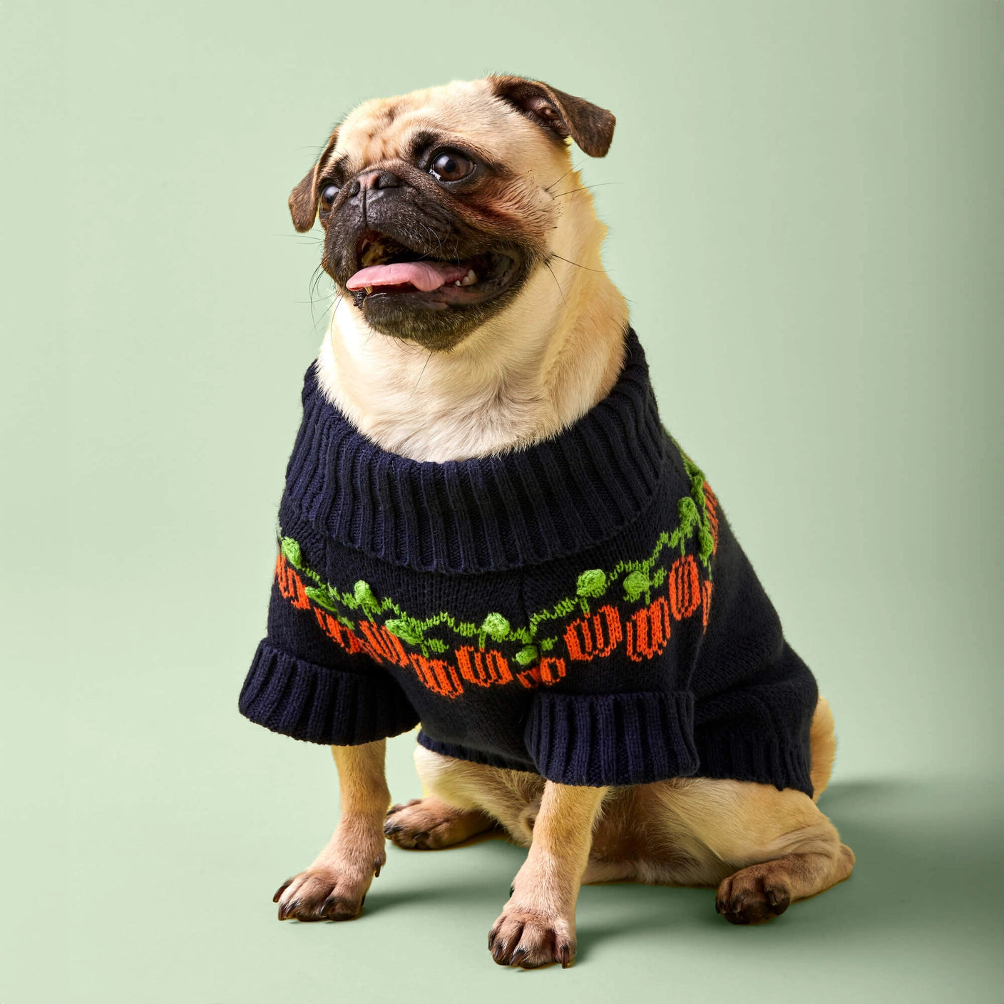 THE FOGGY DOG - Pumpkin Patch Dog Sweater