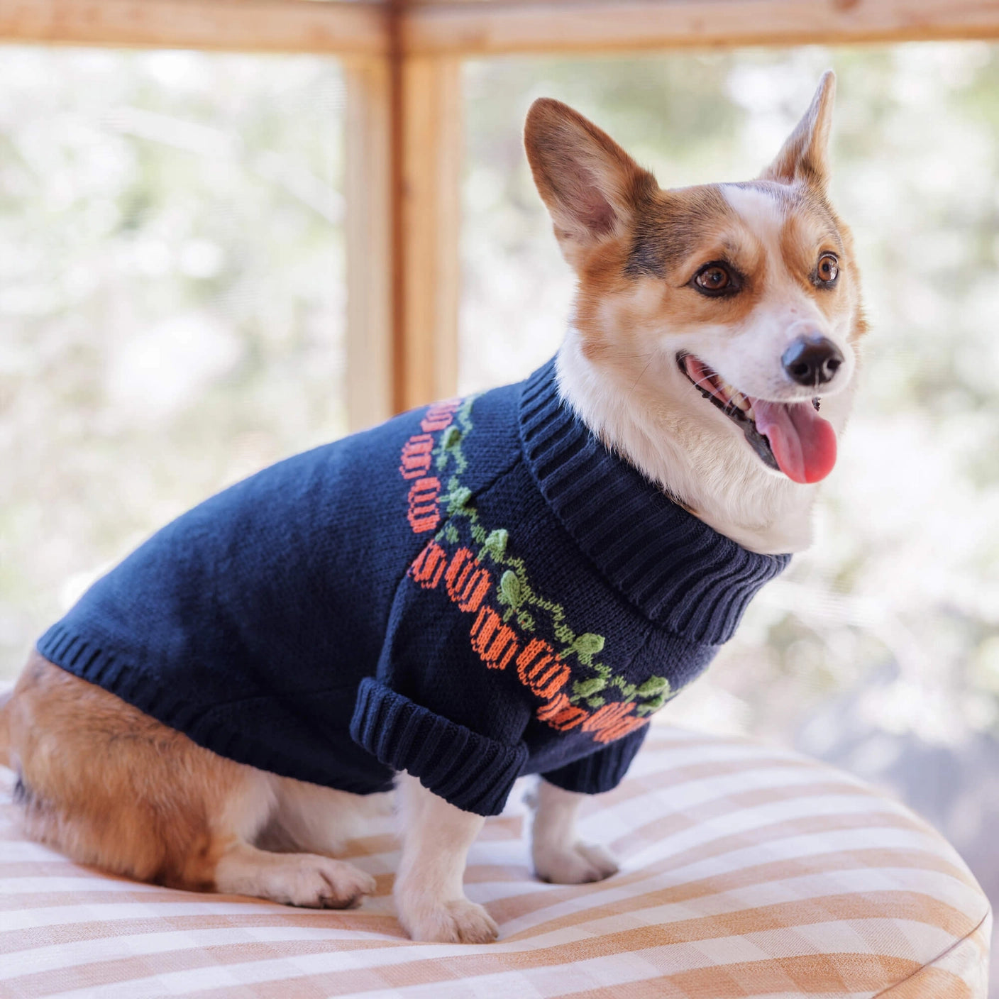 THE FOGGY DOG - Pumpkin Patch Dog Sweater