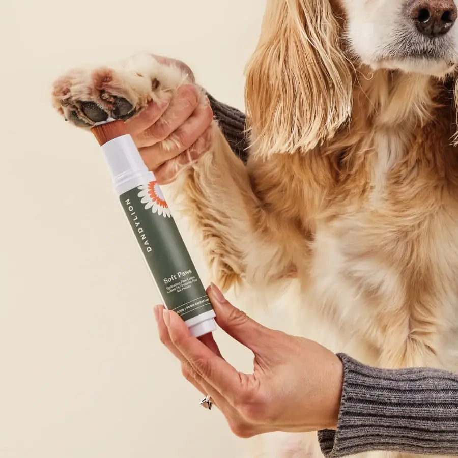 Soft Paws - Hydrating Paw Lotion