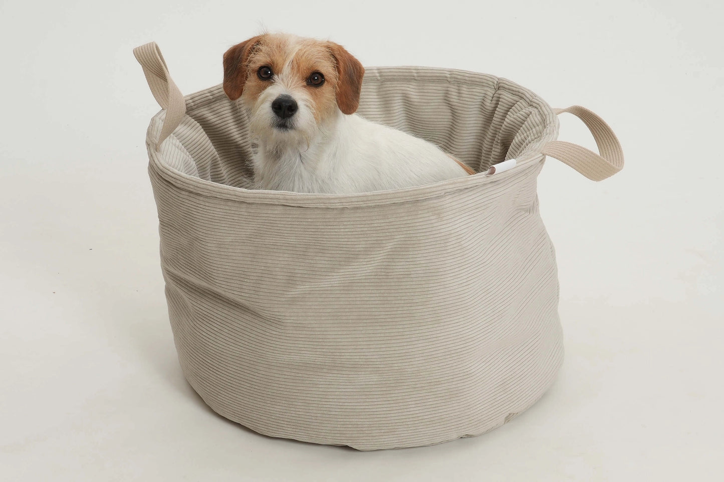 Little Dog Basket