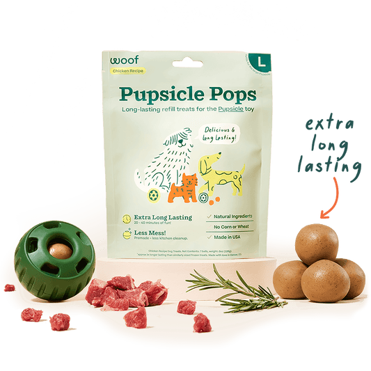 Pupsicle Pops - Beef