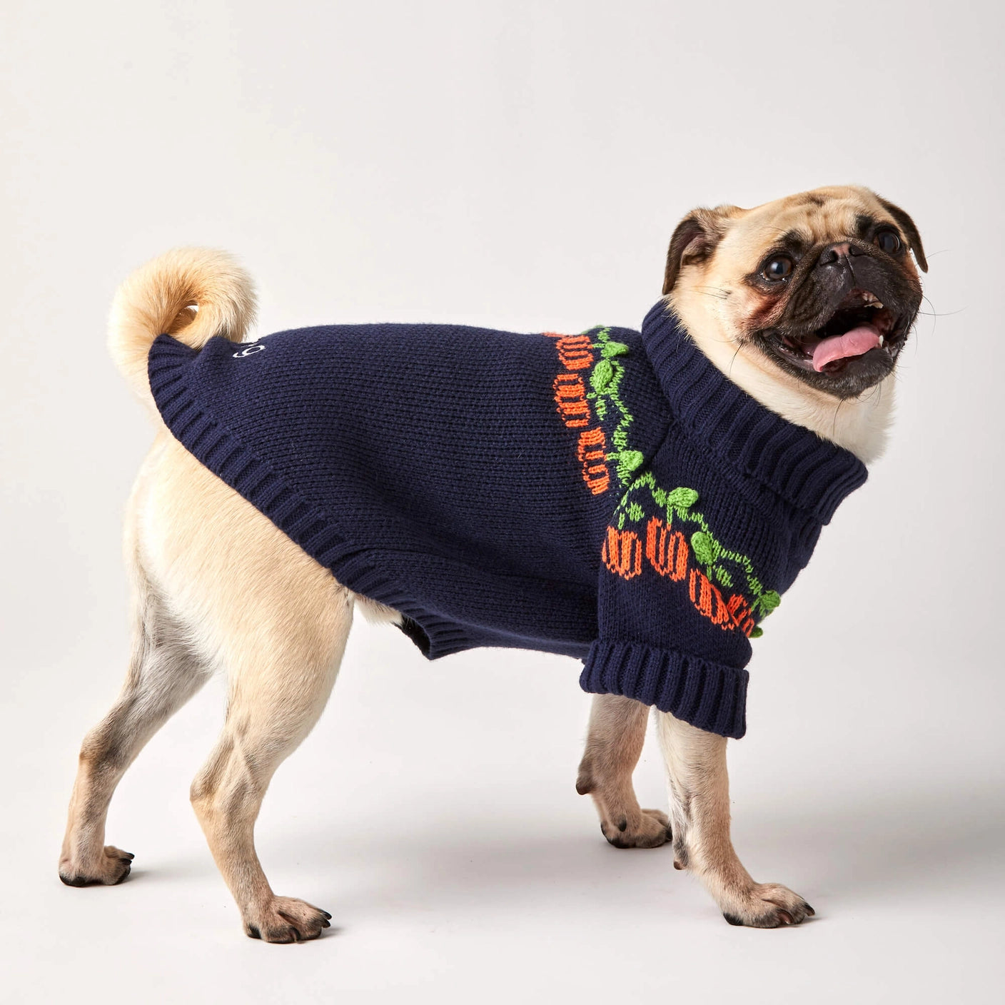 THE FOGGY DOG - Pumpkin Patch Dog Sweater