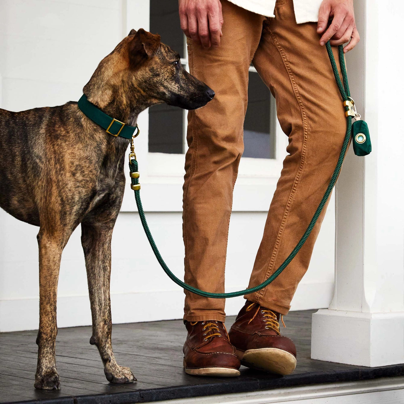 THE FOGGY DOG - Evergreen Marine Rope Dog Leash