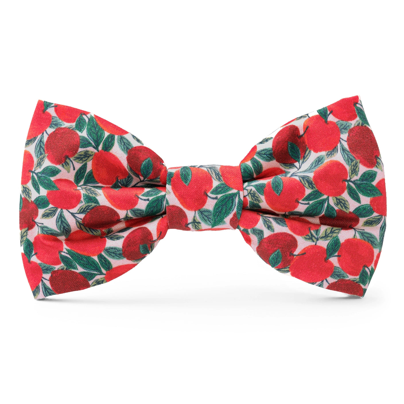 THE FOGGY DOG - Apple of My Eye Fall Dog Bow Tie