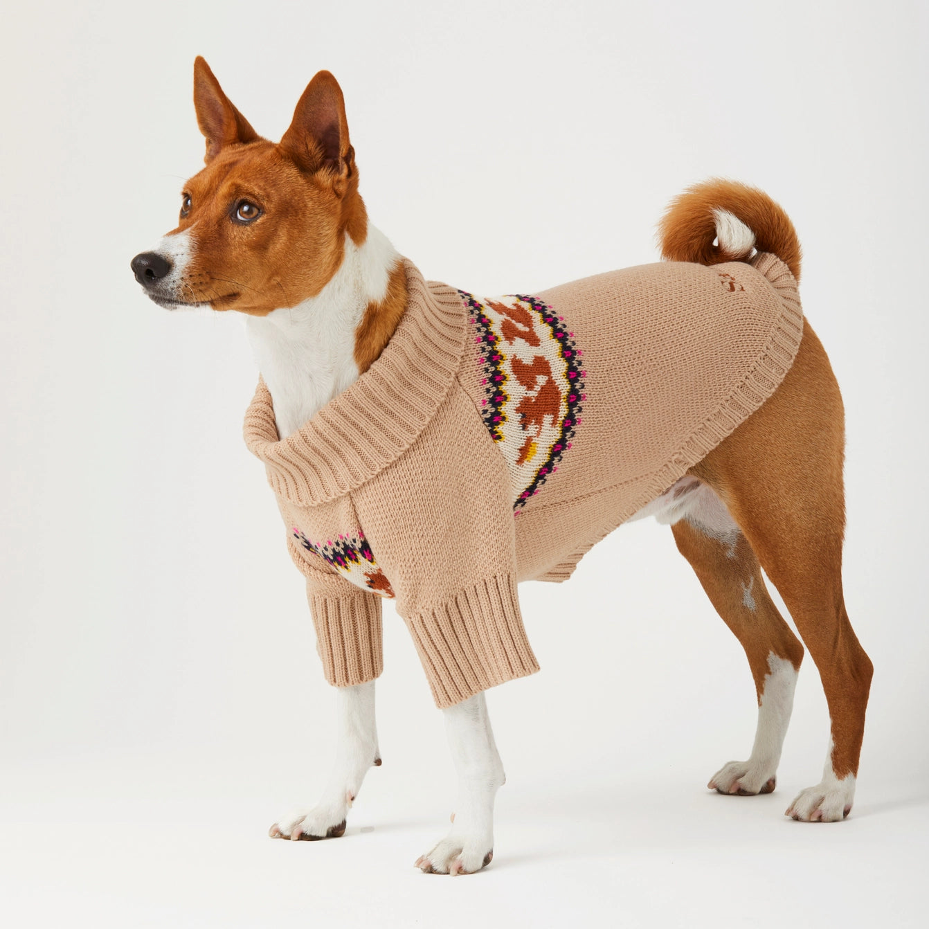 THE FOGGY DOG - Squirrel Cable Knit Dog Sweater