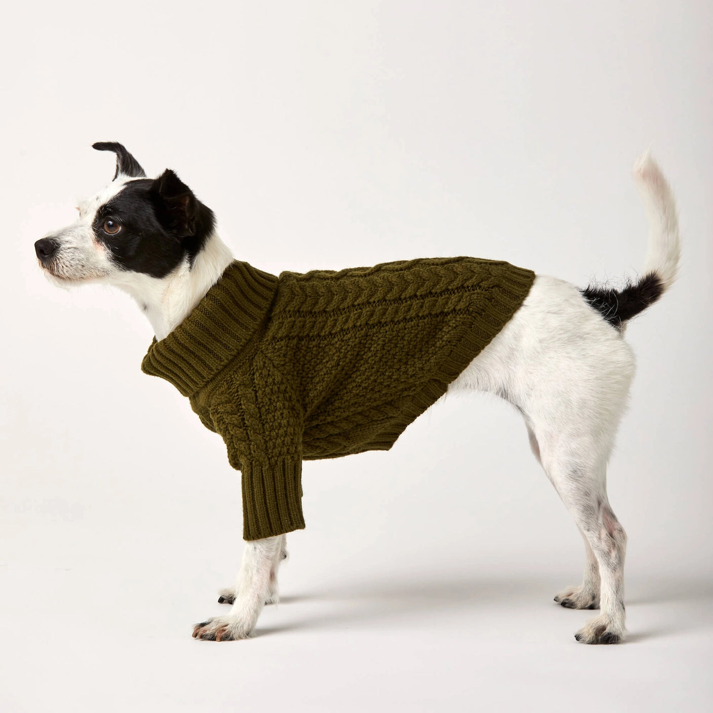 THE FOGGY DOG - Olive Cable Knit Dog Sweater