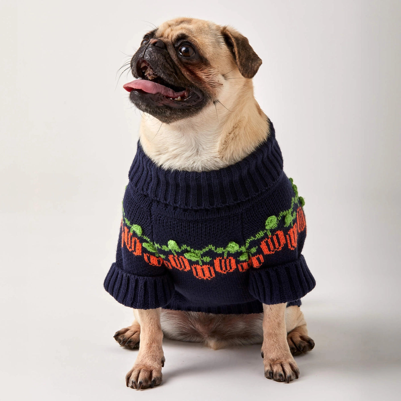 THE FOGGY DOG - Pumpkin Patch Dog Sweater