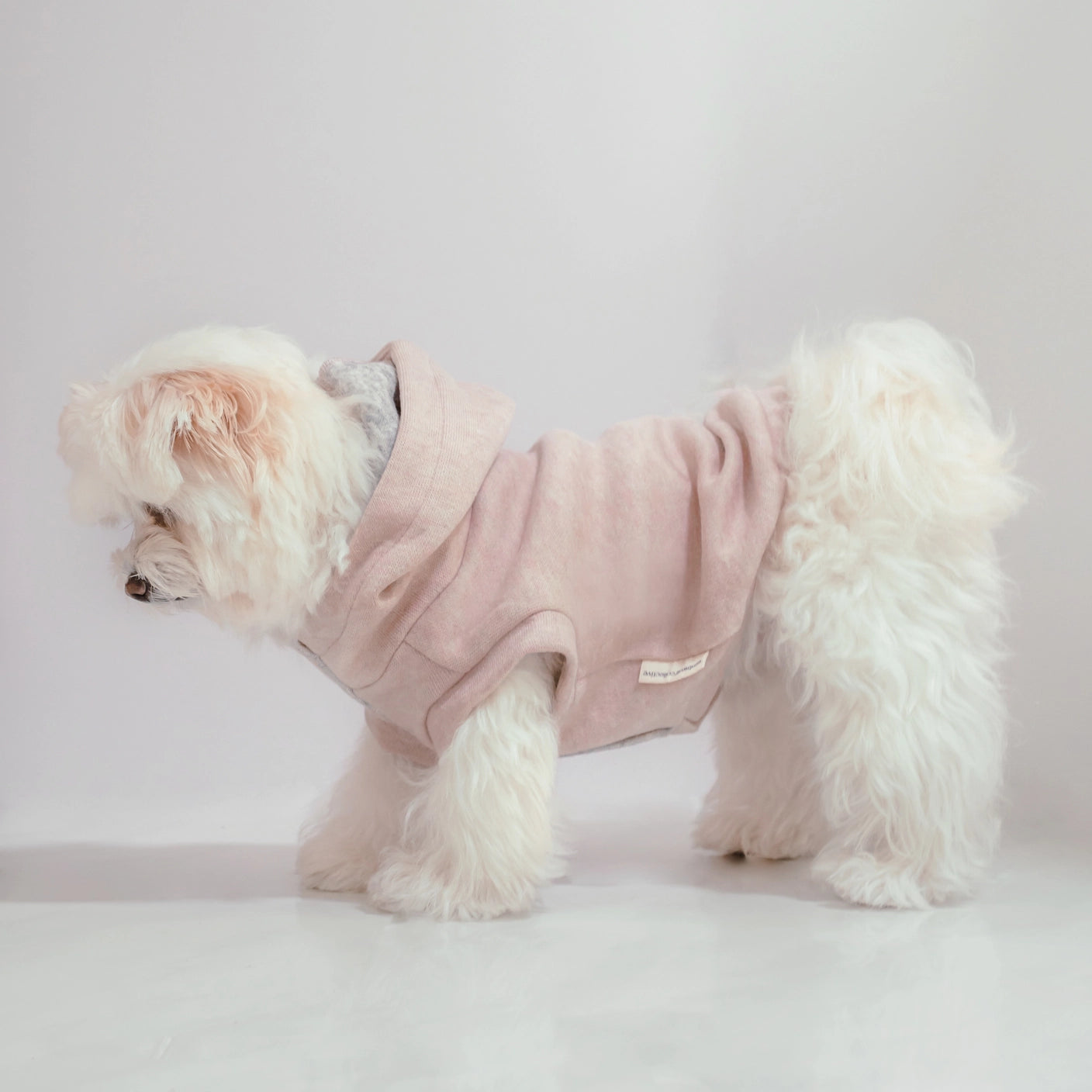 LAMBWOLF - Robin Dog Sweater in Cream