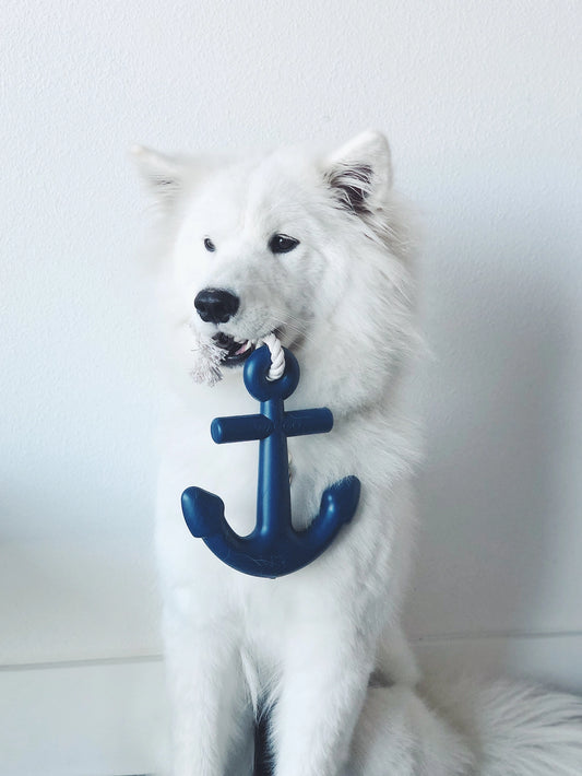 Anchors Aweigh Rubber Dog Toy - Navy Blue