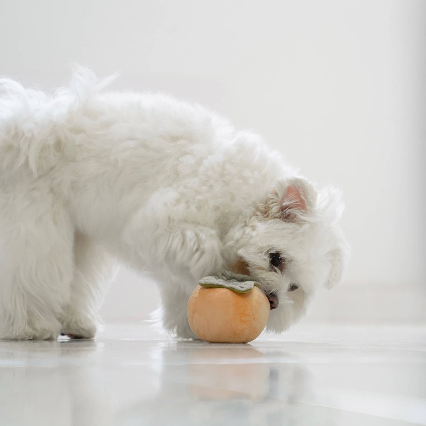 LAMBWOLF - PERSIMMON ENRICHMENT TOY SET & SNUFFLE TOY