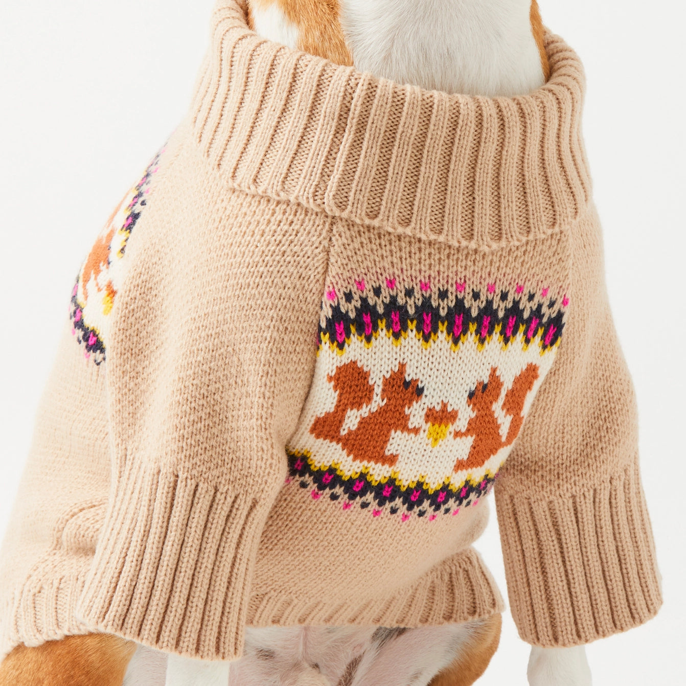 THE FOGGY DOG - Squirrel Cable Knit Dog Sweater