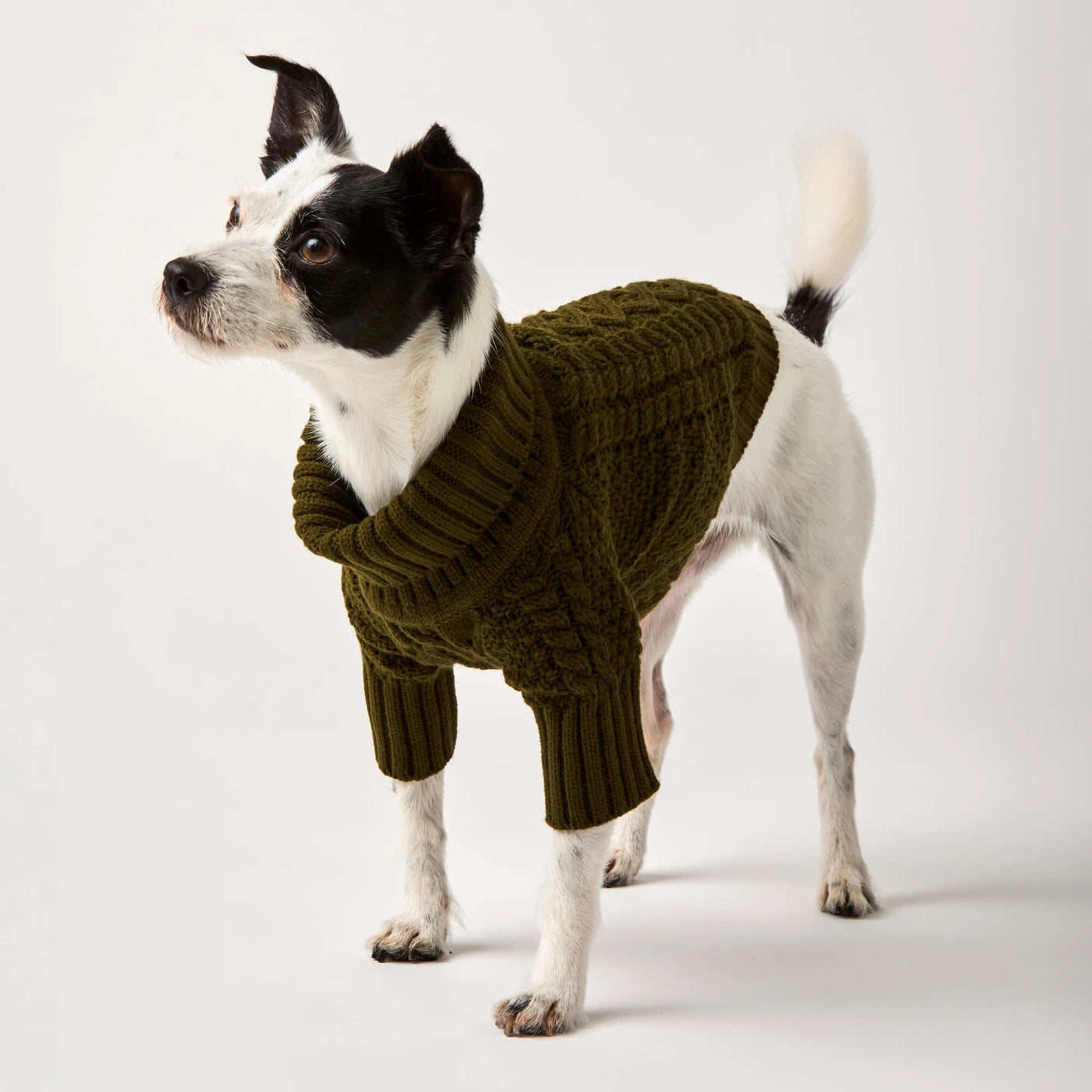 THE FOGGY DOG - Olive Cable Knit Dog Sweater