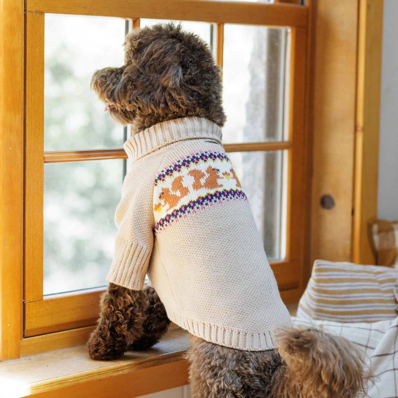 THE FOGGY DOG - Squirrel Cable Knit Dog Sweater