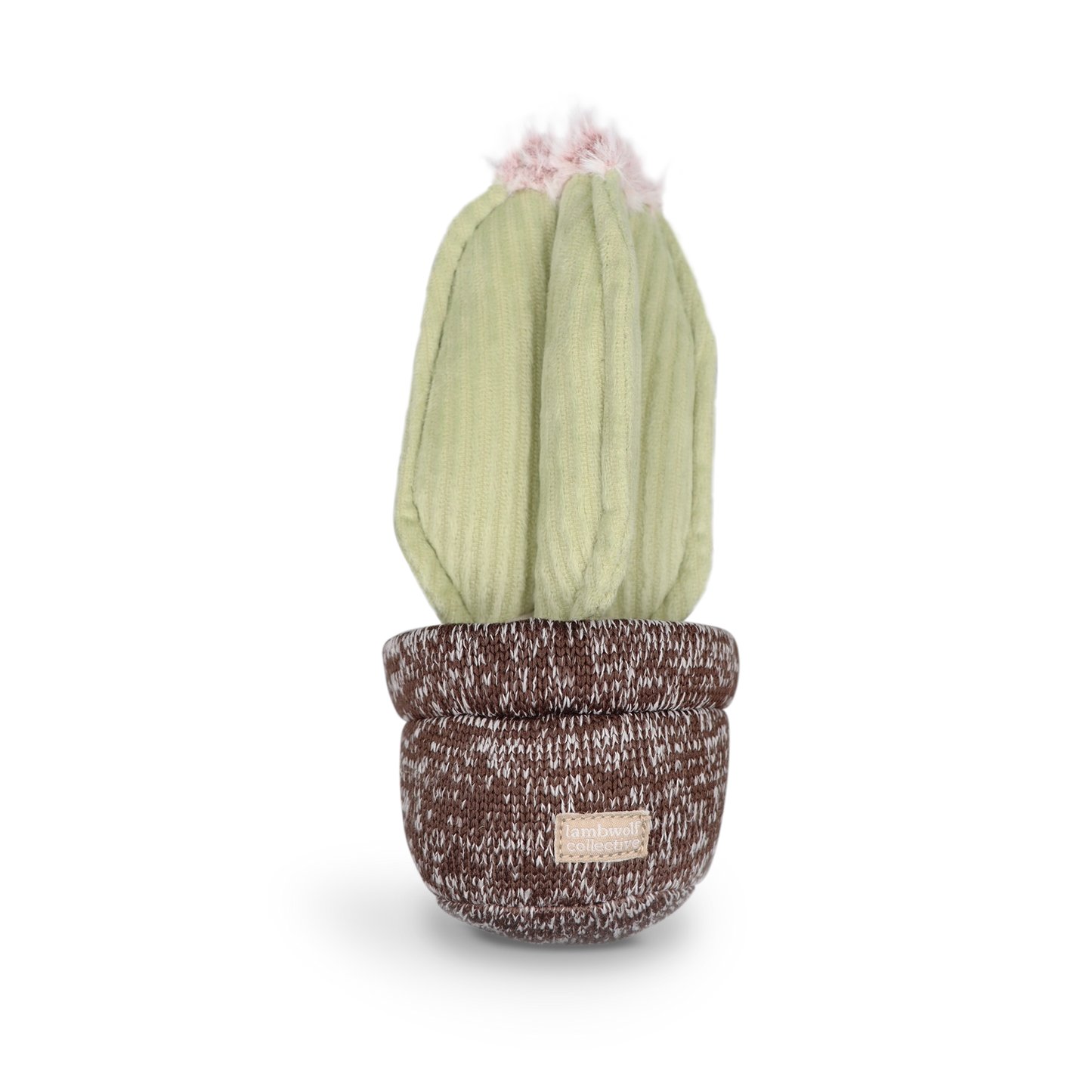 Cactus Toy