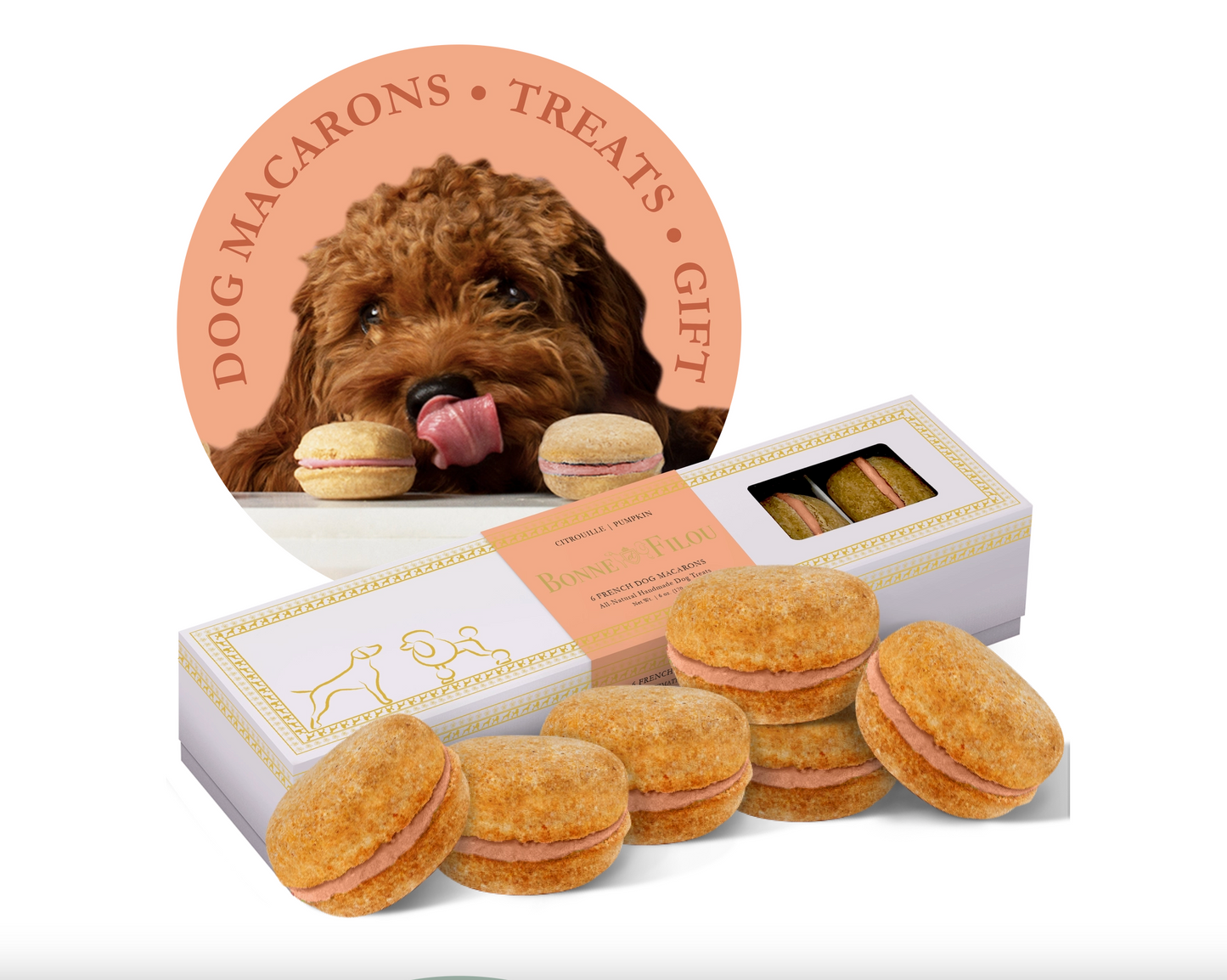 Premium Box Of Dog Macarons - Box of 6 Macarons