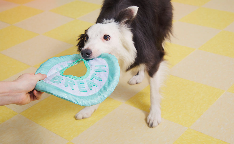 Puppy Breath Mint Frisbee Toy