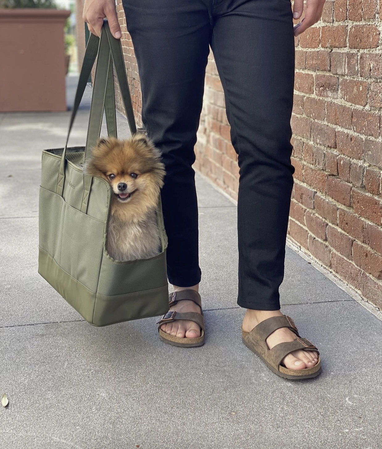 Premium Pet Tote Bag