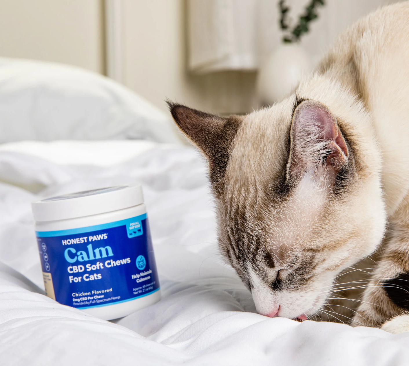 Calm CBD Soft Chews for Cats