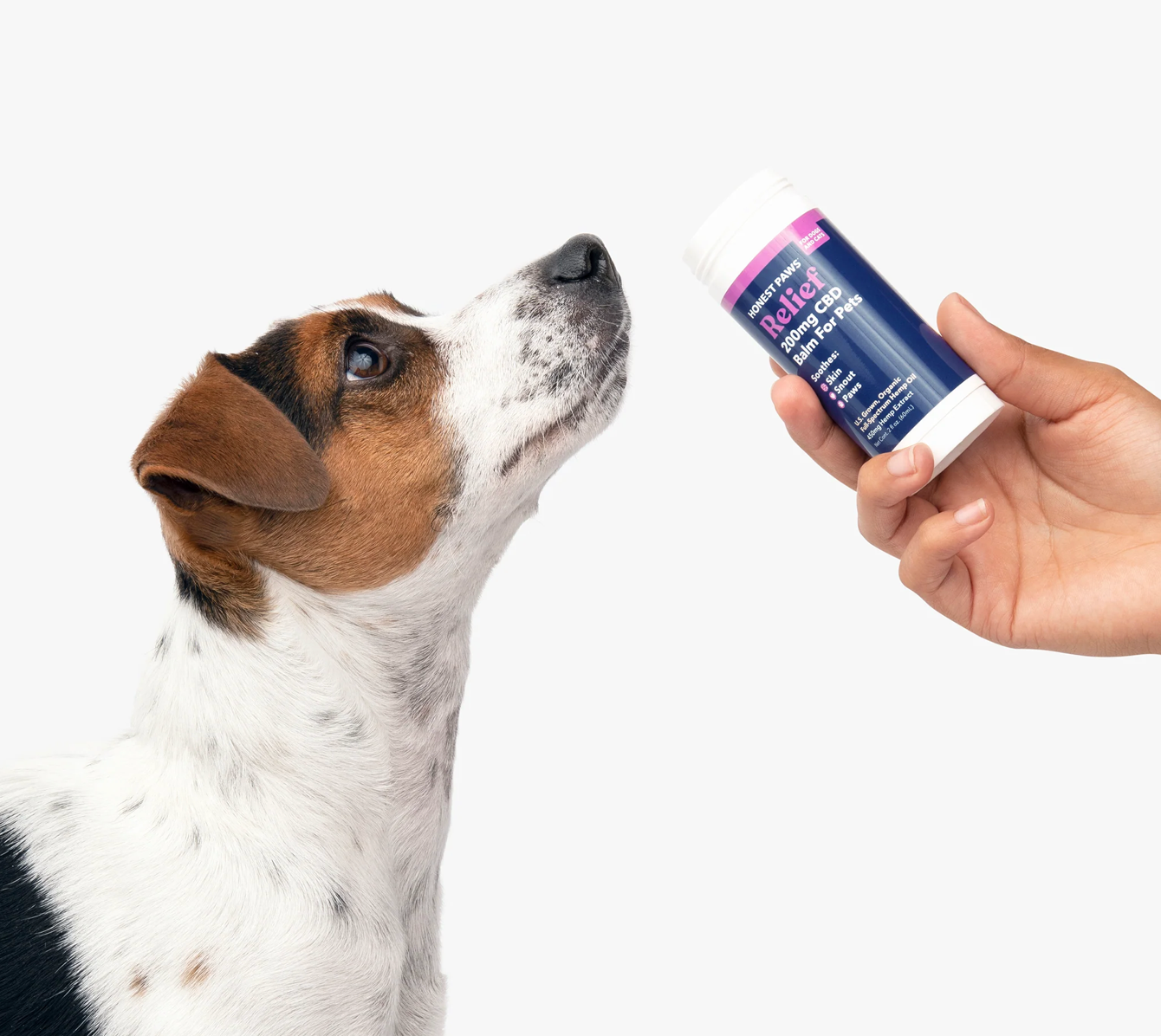 Relief CBD Balm For Dogs