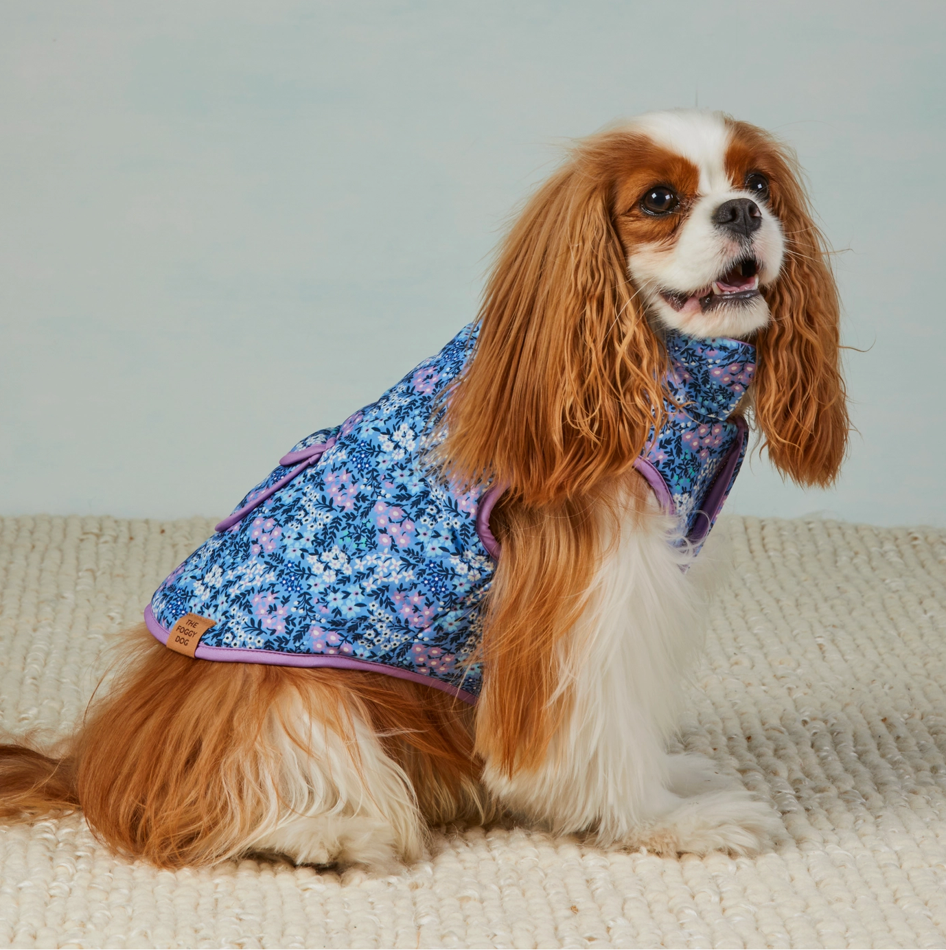 Mini Meadow Reversible Dog Jacket