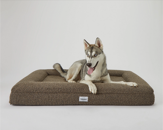 TEDDY - Brown Boucle Dog & Cat Bed