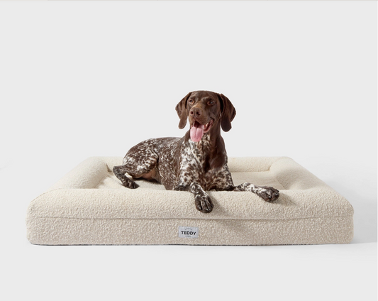 TEDDY - Ivory Boucle Dog & Cat Bed