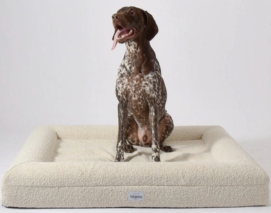 TEDDY - Ivory Boucle Dog & Cat Bed