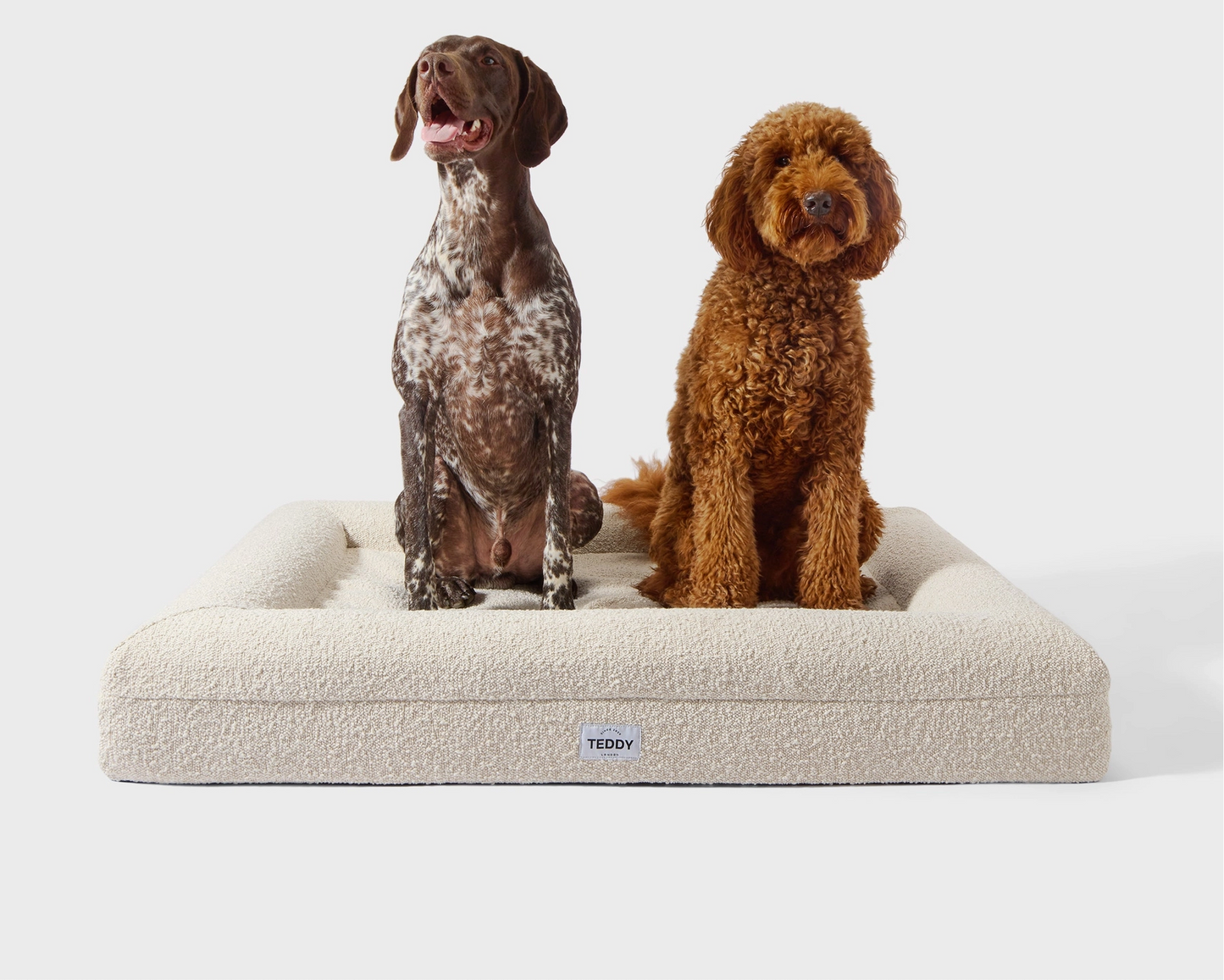 TEDDY - Ivory Boucle Dog & Cat Bed