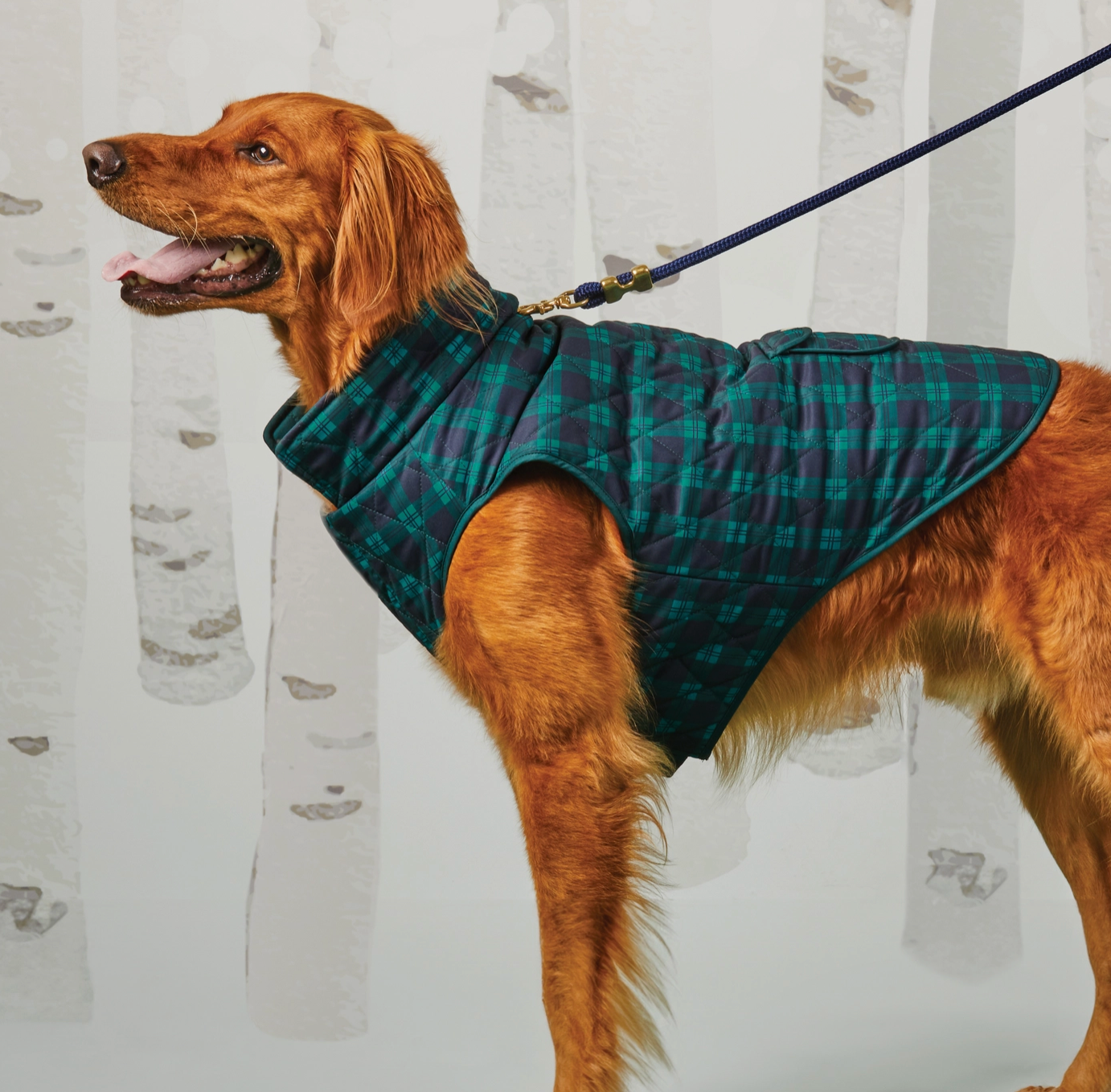 Black Watch Plaid Reversible Dog Jacket