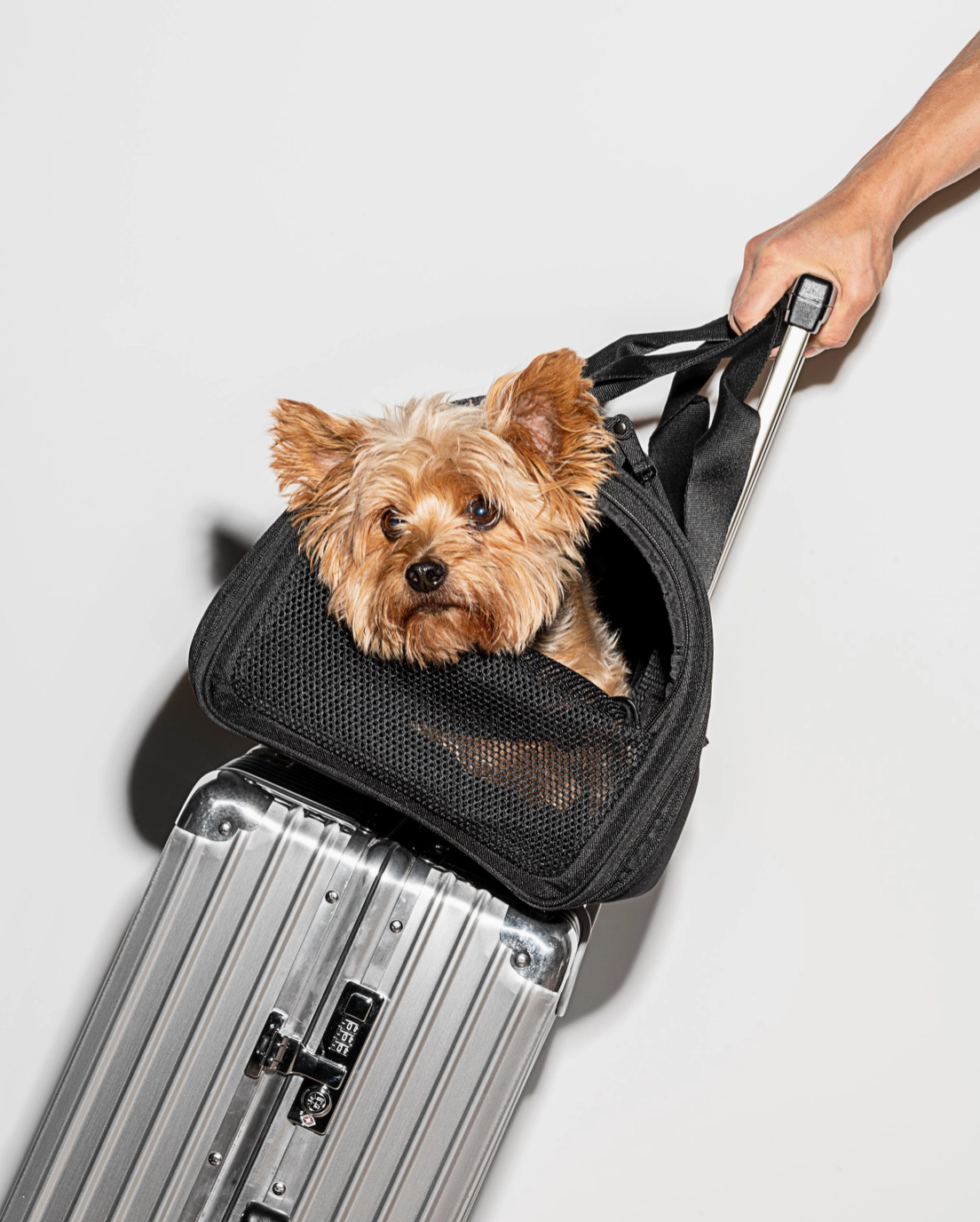 Travel TSA Compliant Pet Carrier