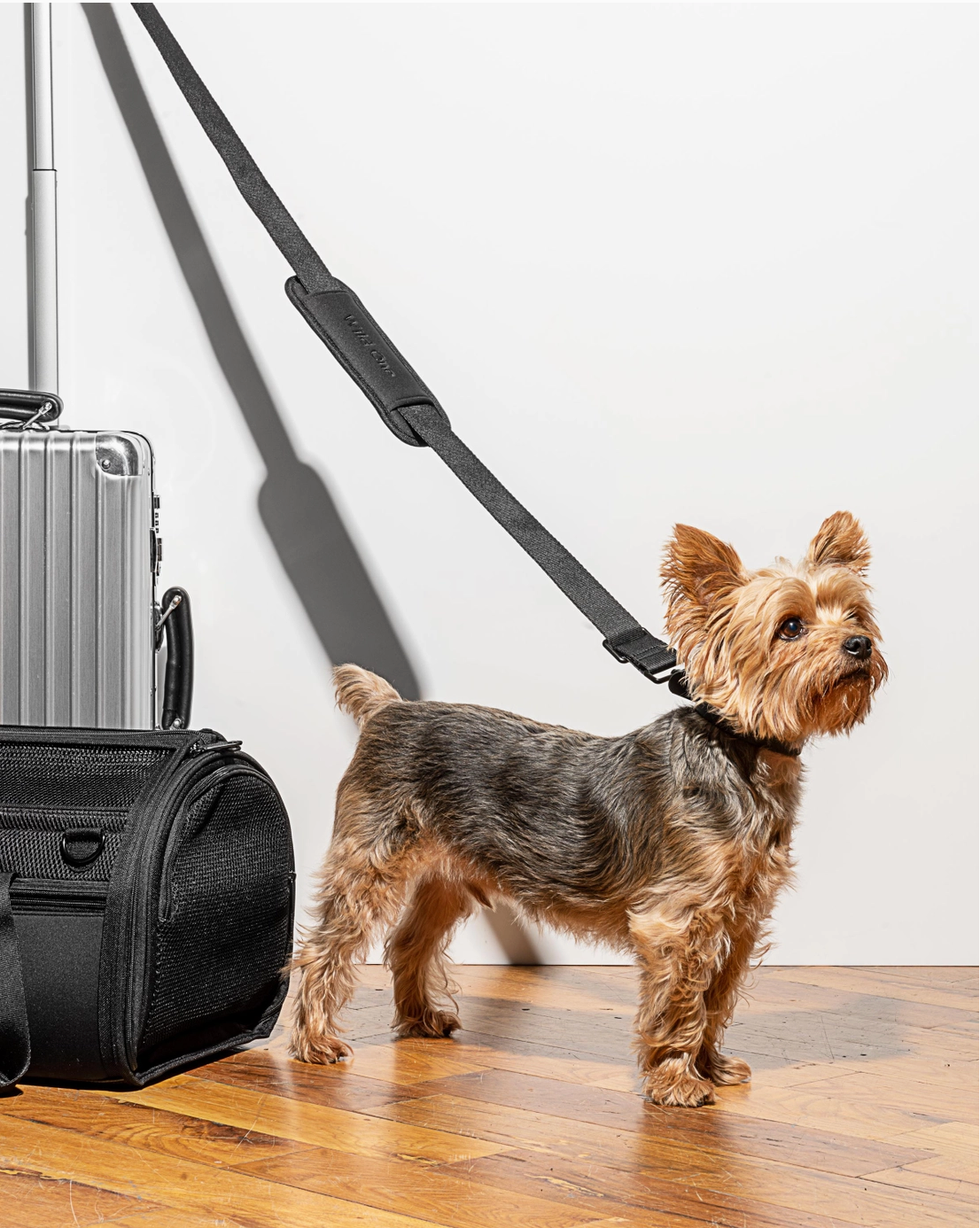 Travel TSA Compliant Pet Carrier