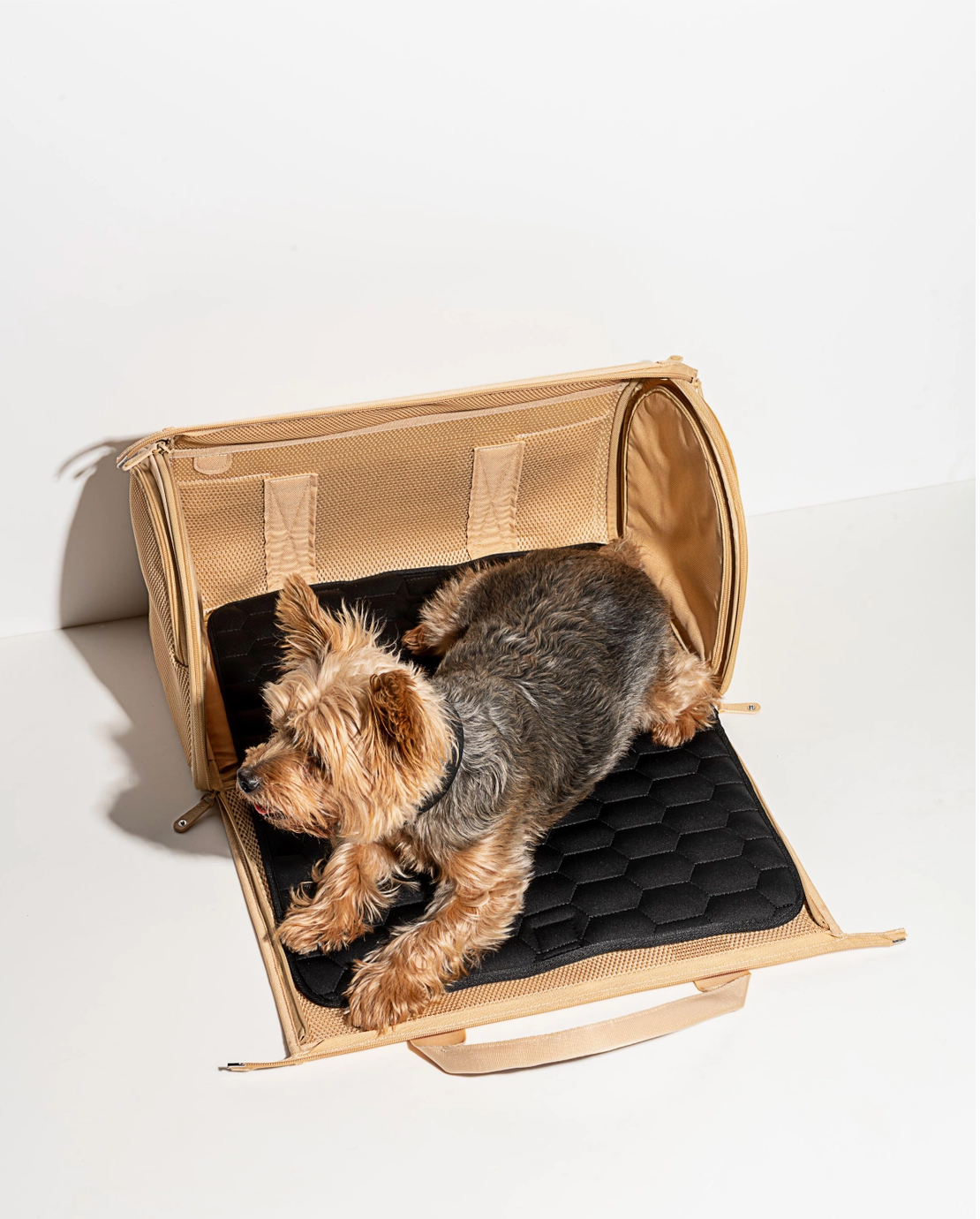 Travel TSA Compliant Pet Carrier